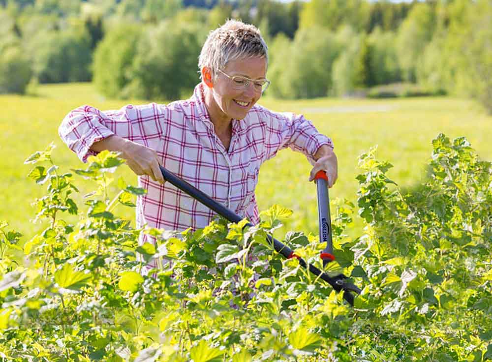 Top 11 Best Loppers 2024