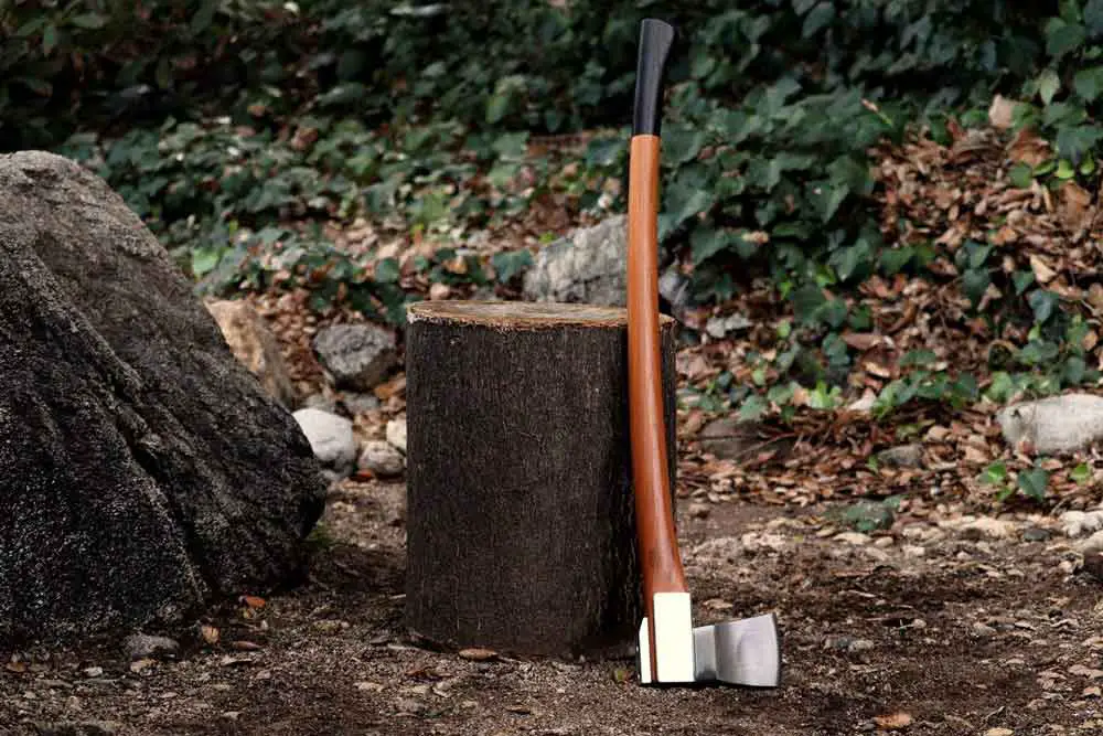 Best Axes For Splitting Wood