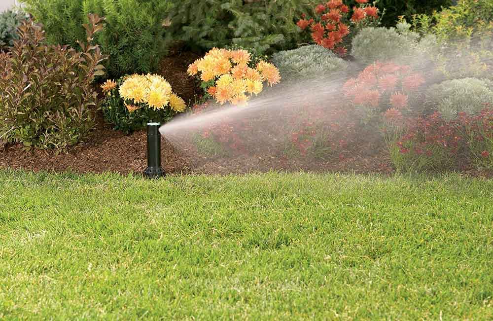 Top 12 Best Sprinkler Heads for Lawns and Gardens 2024