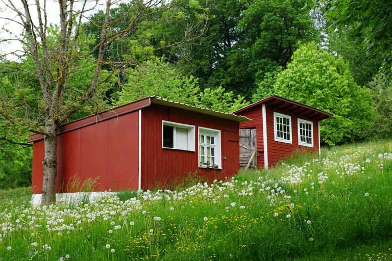 Put A Tiny House In Your Backyard