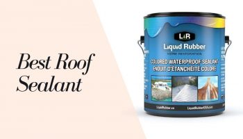 11 Best Roof Sealant 2021