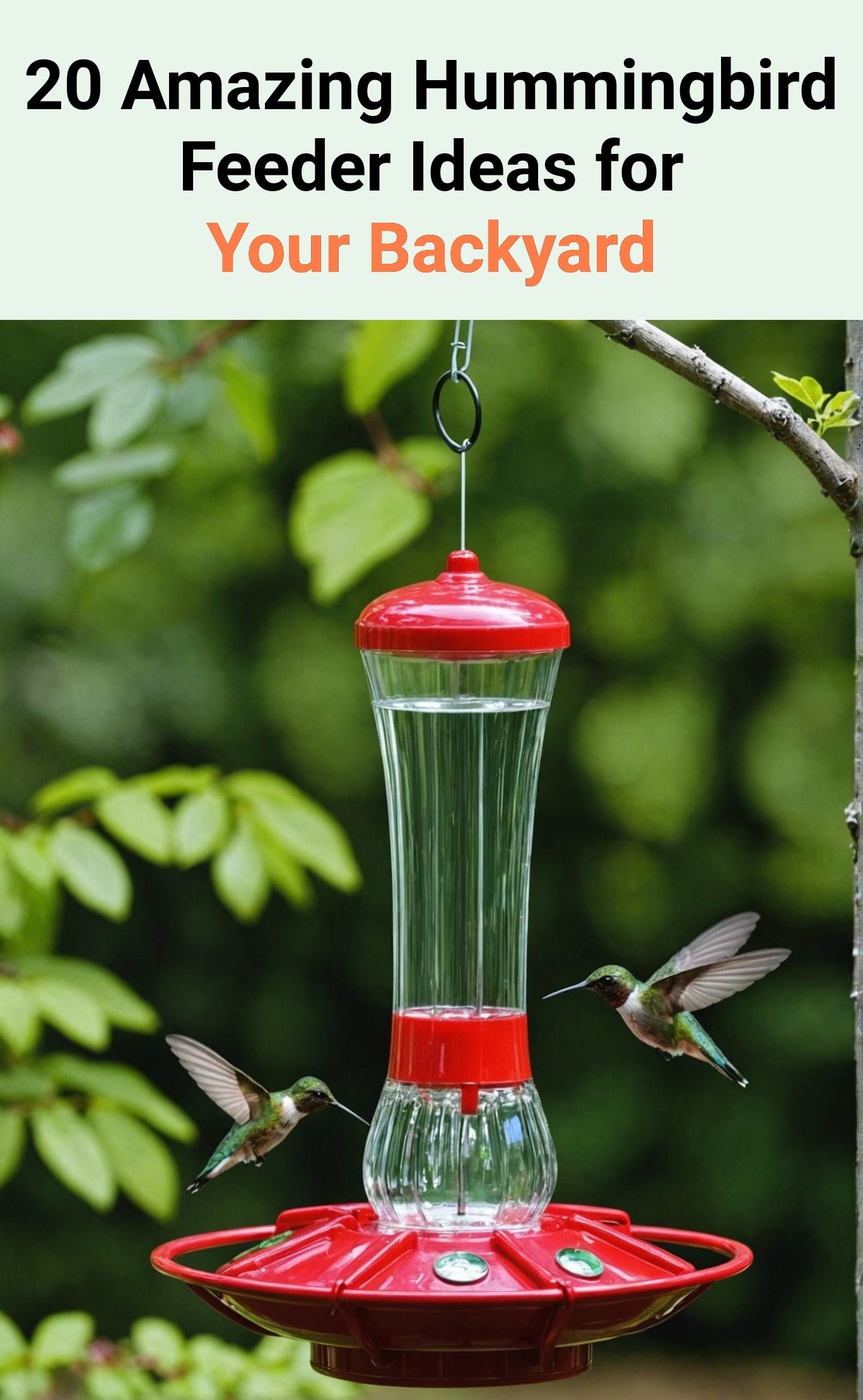 20 Amazing Hummingbird Feeder Ideas for Your Backyard
