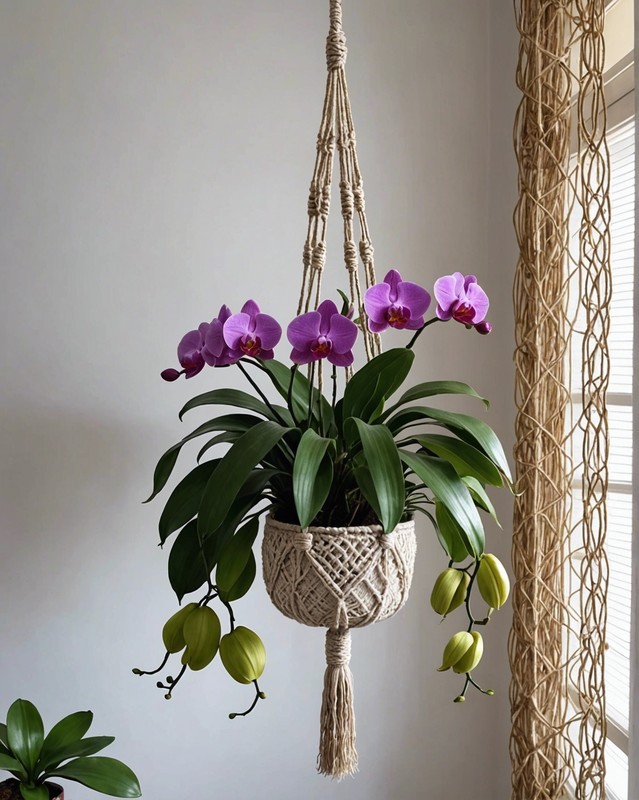 Macrame Plant Hanger with Orchids