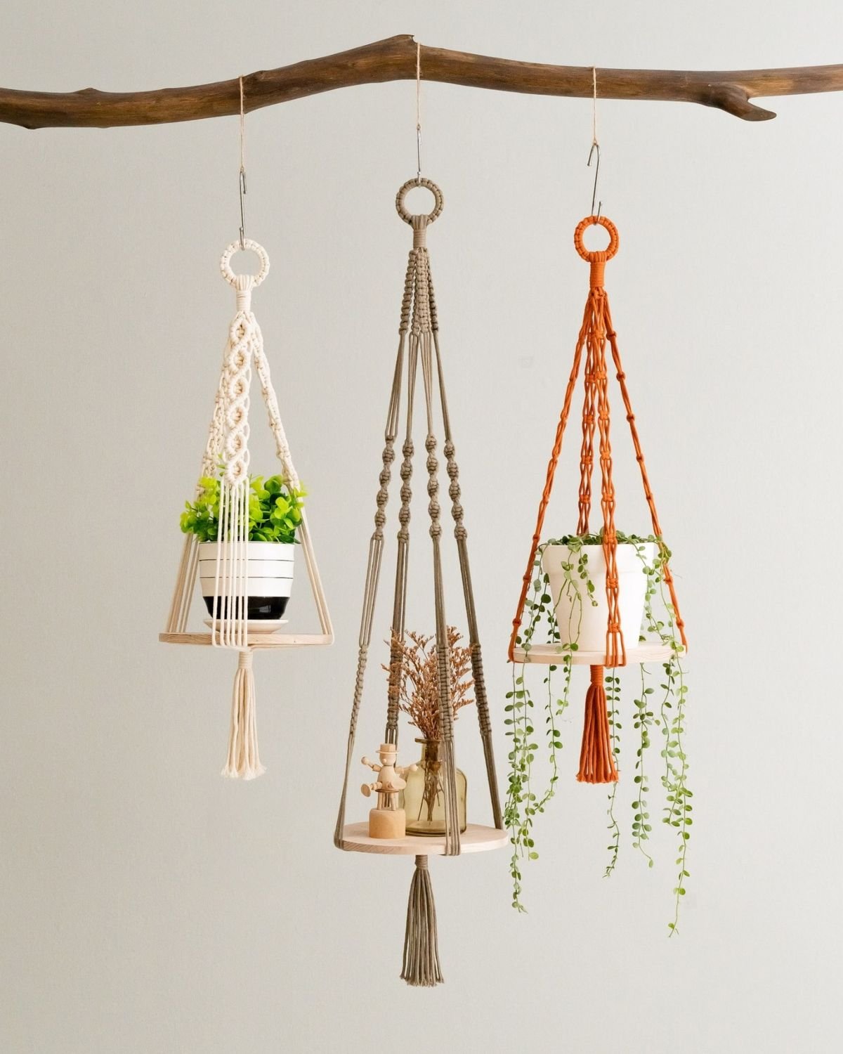 Charming Macrame Plant Hangers for Decor