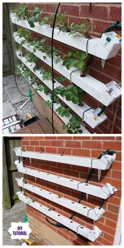 Easy DIY Strawberry Planter Ideas