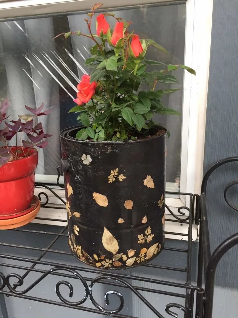 Transform Paint Cans into Stylish Planters