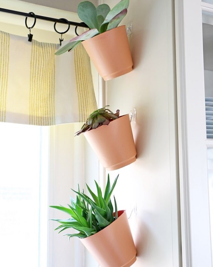 Vertical Garden with Command Hooks