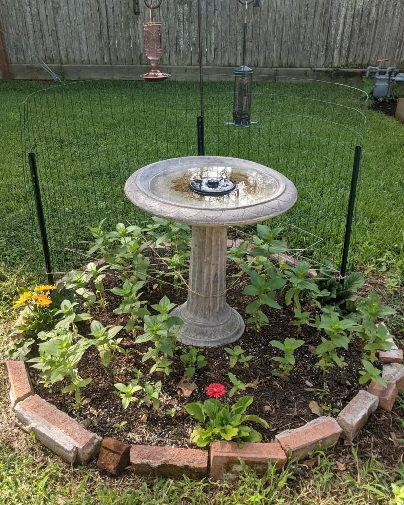 Attractive Bird Feeder Design