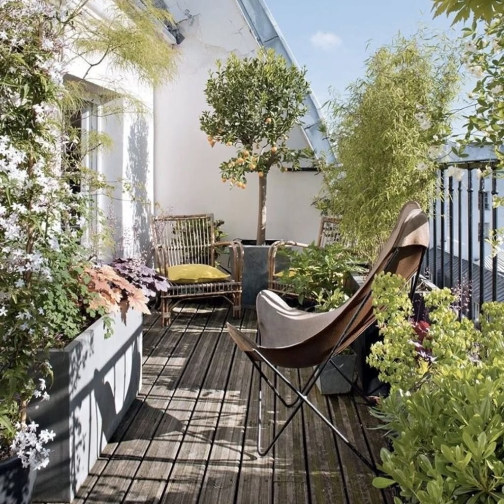 Botanical Balcony Haven