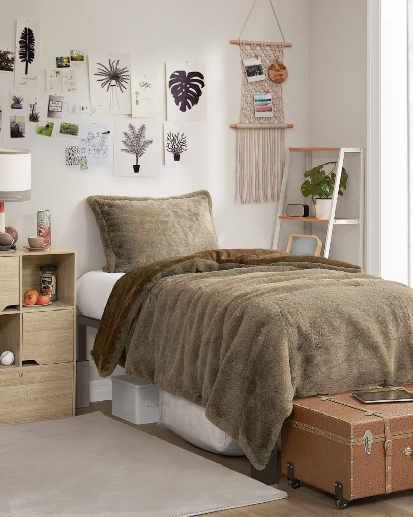 Eco-Chic Dorm Decor