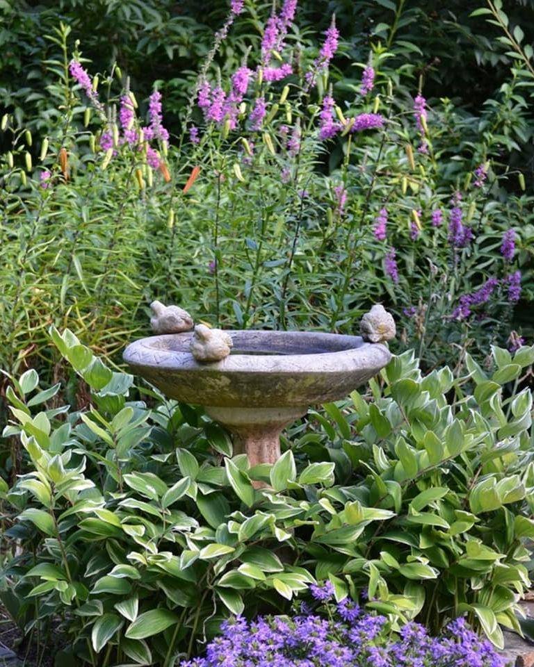 Elegant Birdbath Sanctuary