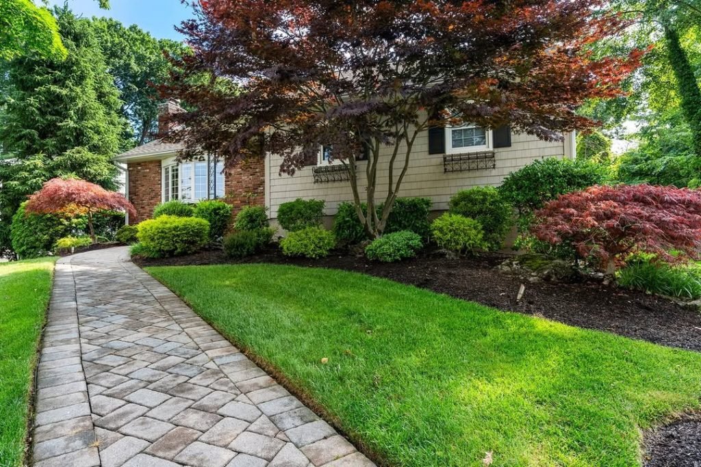 Japanese Maple Showcase