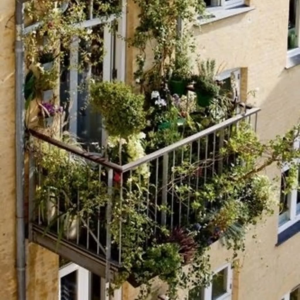 Lush Balcony Greenery