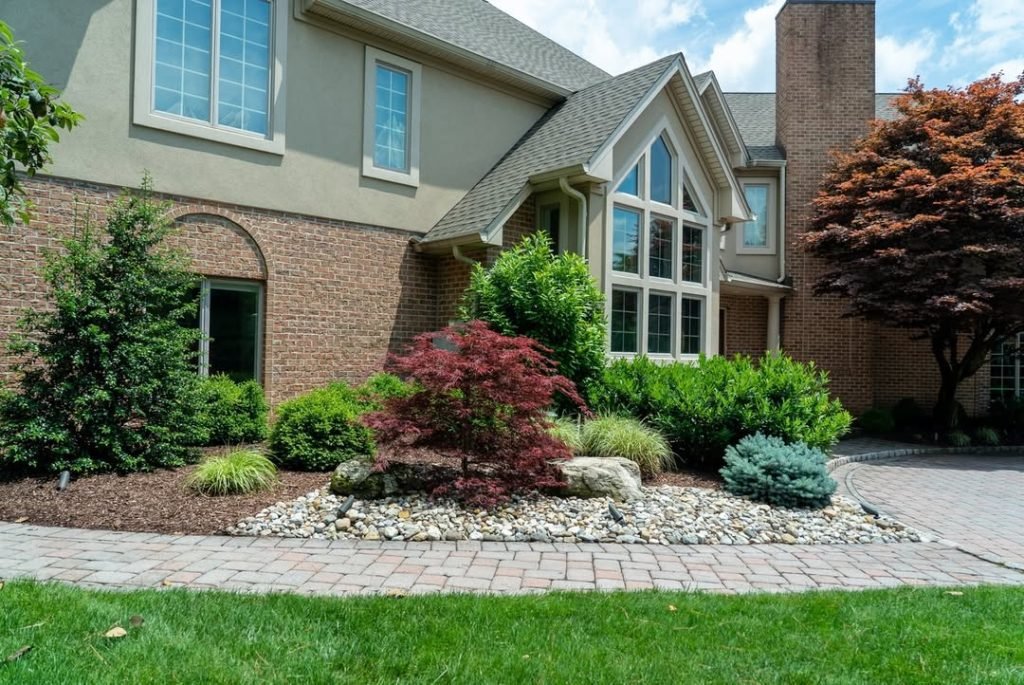Natural Stone and Plants
