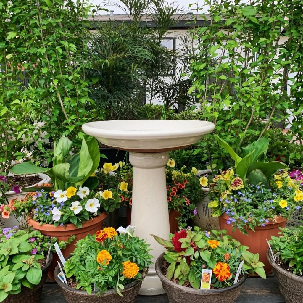 Potted Garden with Birdbath