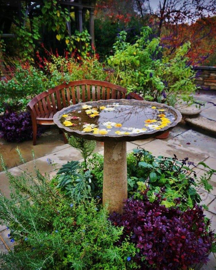 Seasonal Bird Bath Serenity