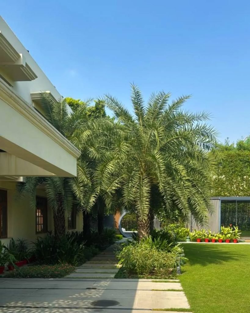 Tropical Modern Retreat