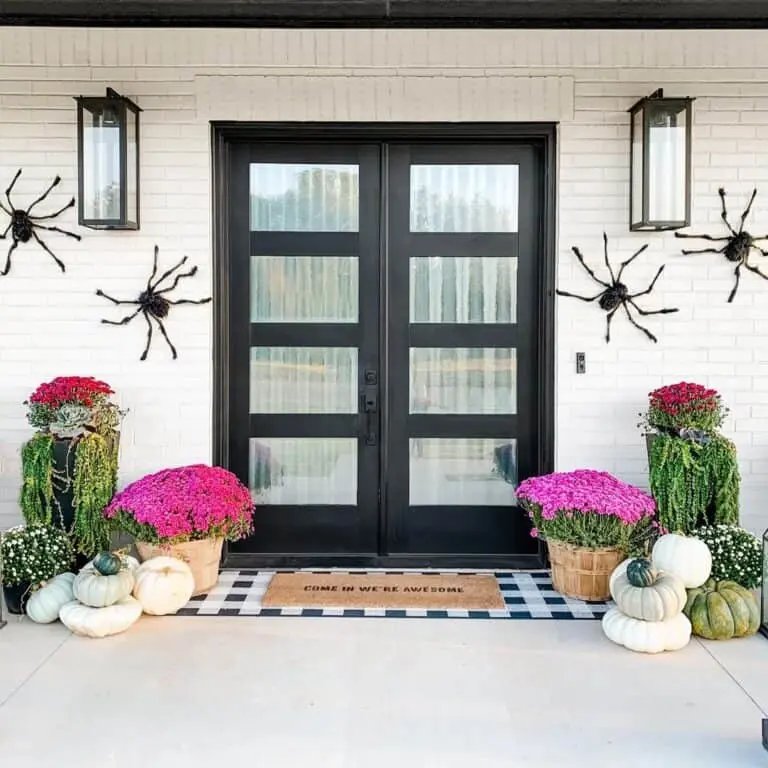 Black Door with Halloween Spiders