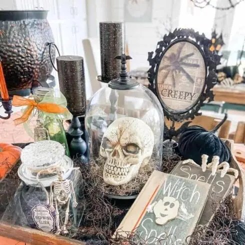 Cauldron and Skull Display
