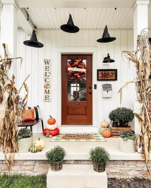 Corn Stalks and Witch Hats