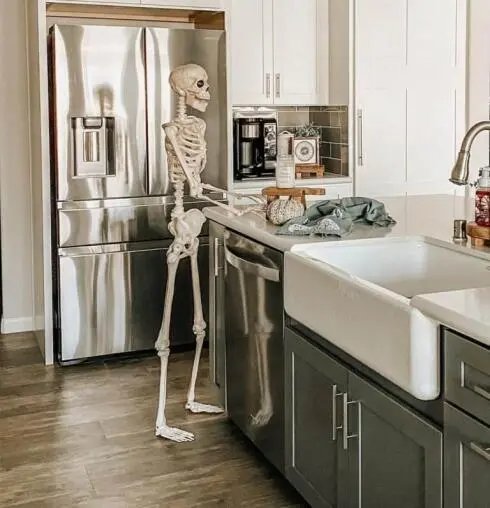 Dining Island with Skeleton