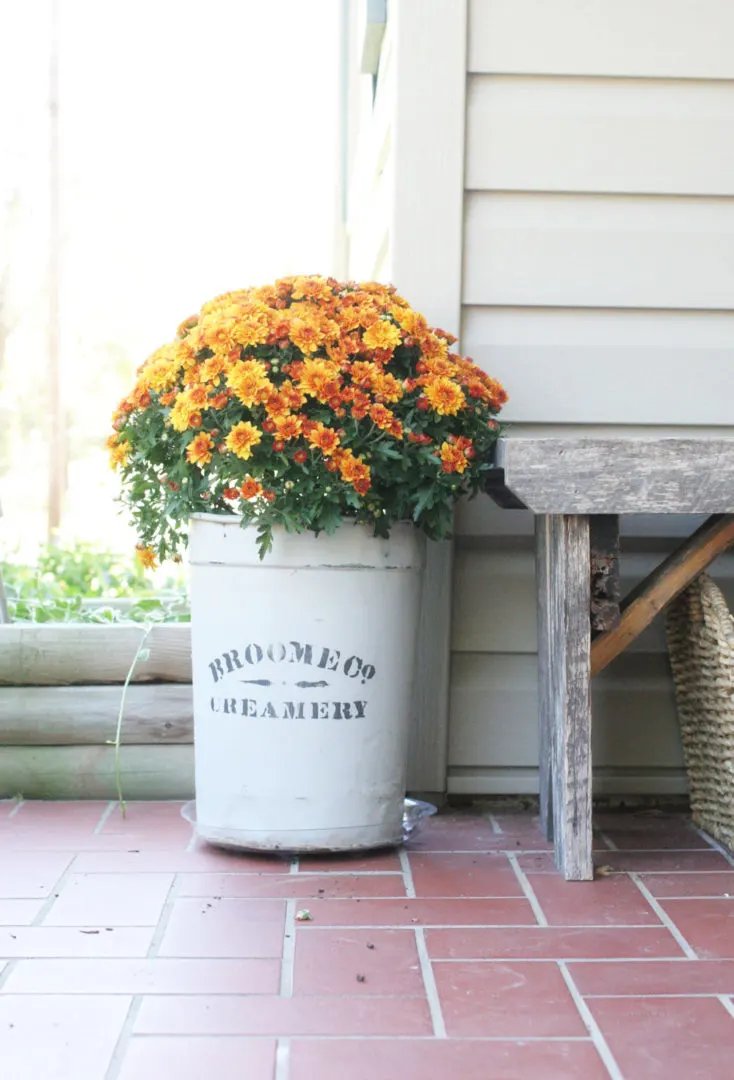 Fall Flower Planters