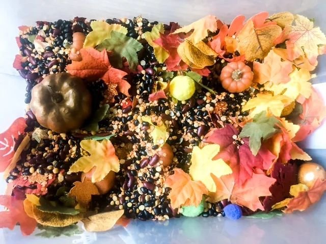 Fall-Themed Sensory Bin