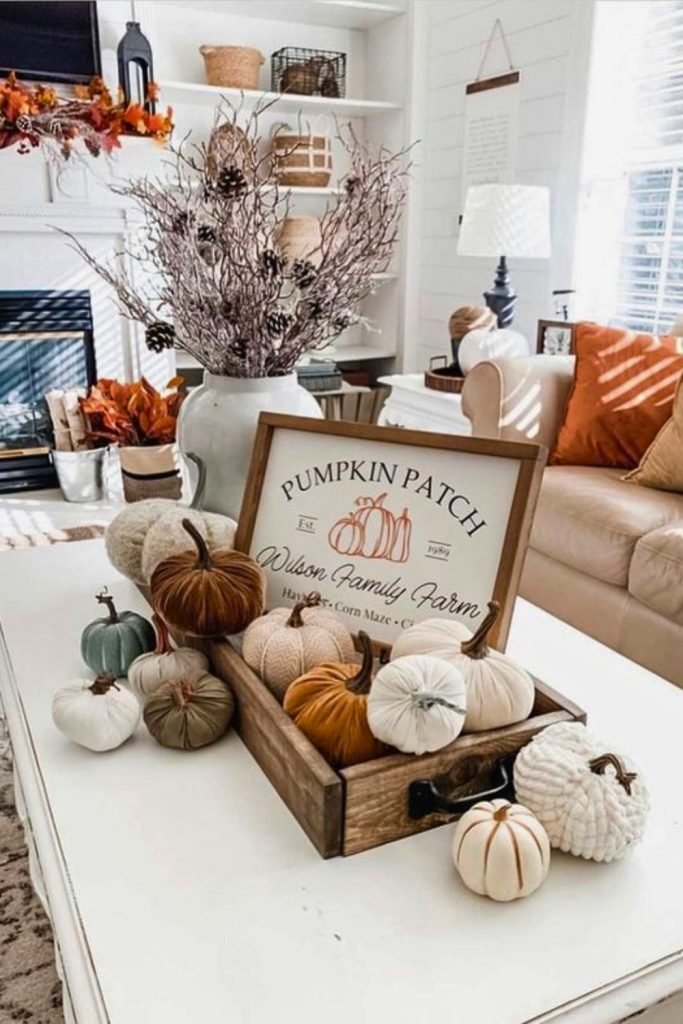 Farmhouse Pumpkin Patch Centerpiece