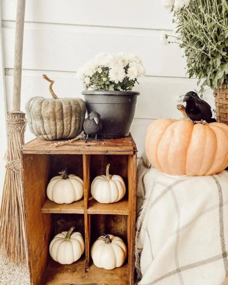 Halloween Outdoor Decor