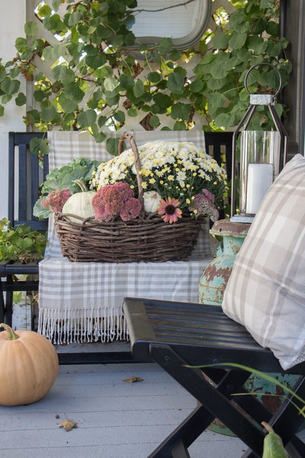 Harvest Basket Display