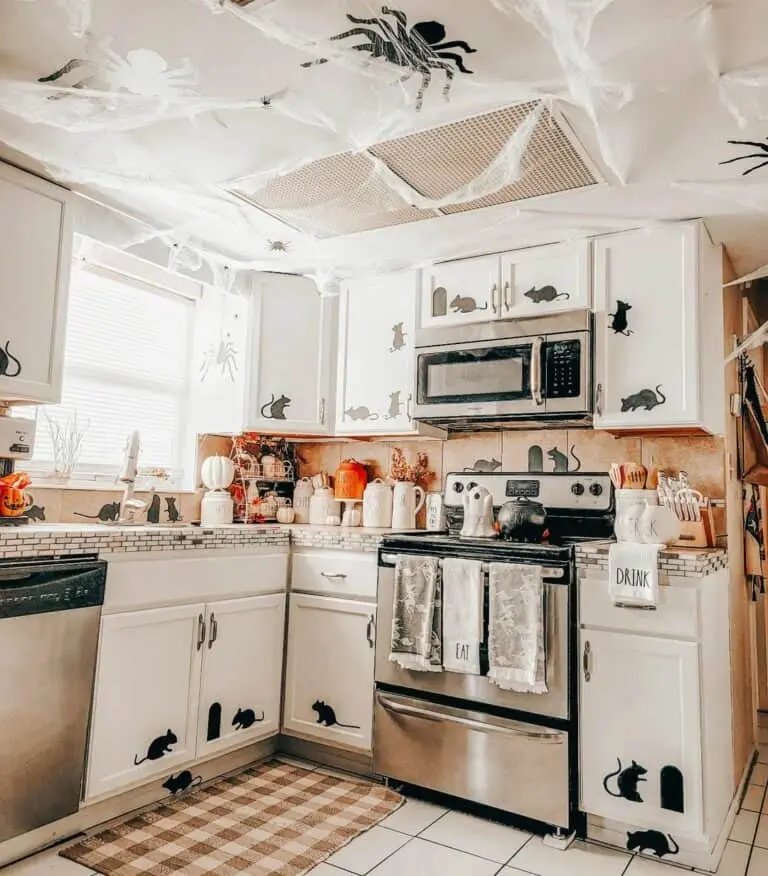 Kitchen Spider Decorations