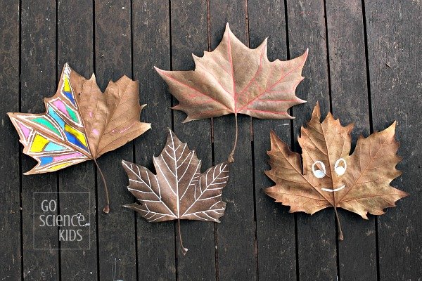 Leaf Vein Painting