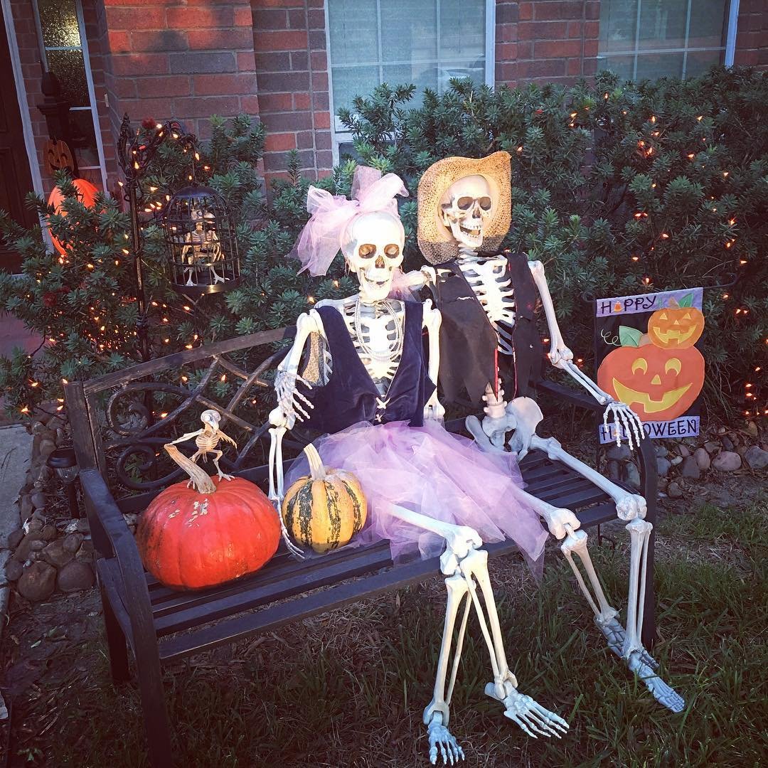 Life-Size Skeleton Display