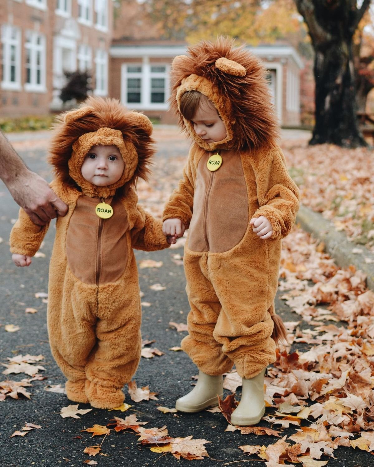 Lion Cub Costumes