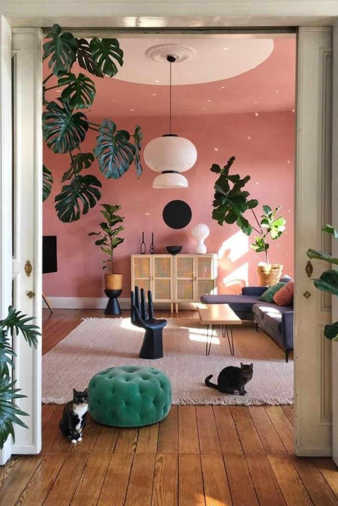 Monstera Plant Decor