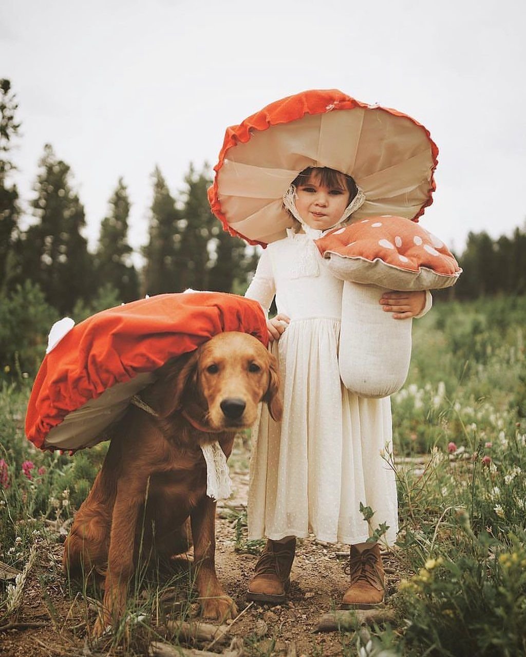 Mushroom Costume for Halloween