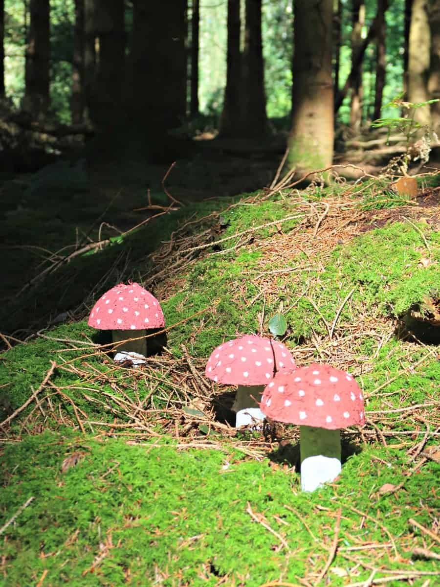 Natural Fairy Toadstools