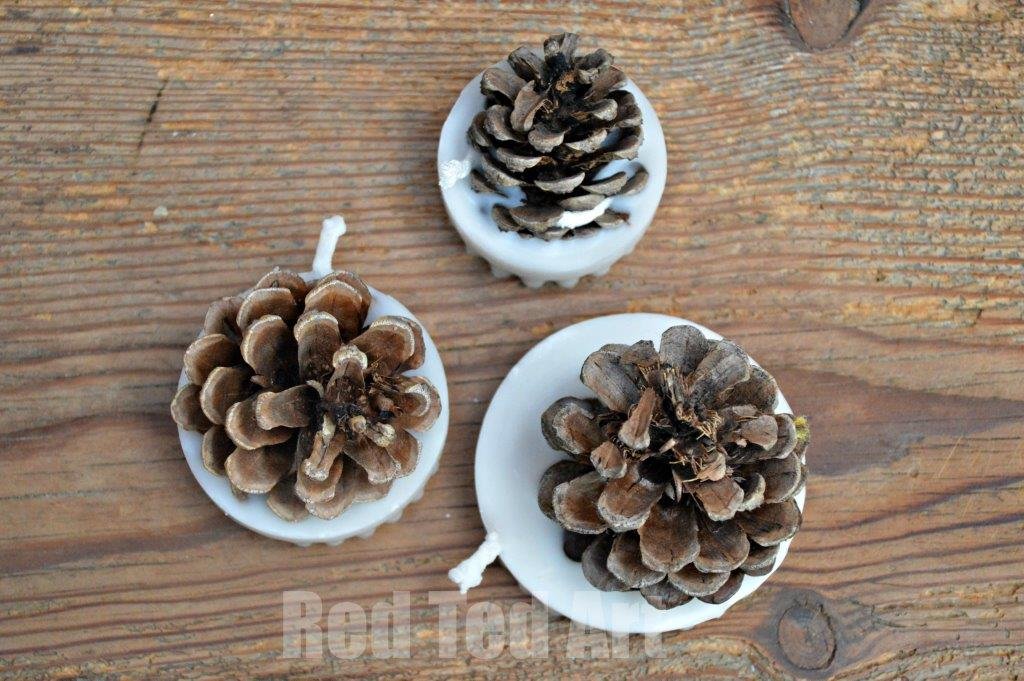 Pine Cone Fire Starters