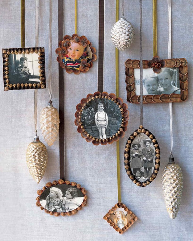 Pinecone Display Frame