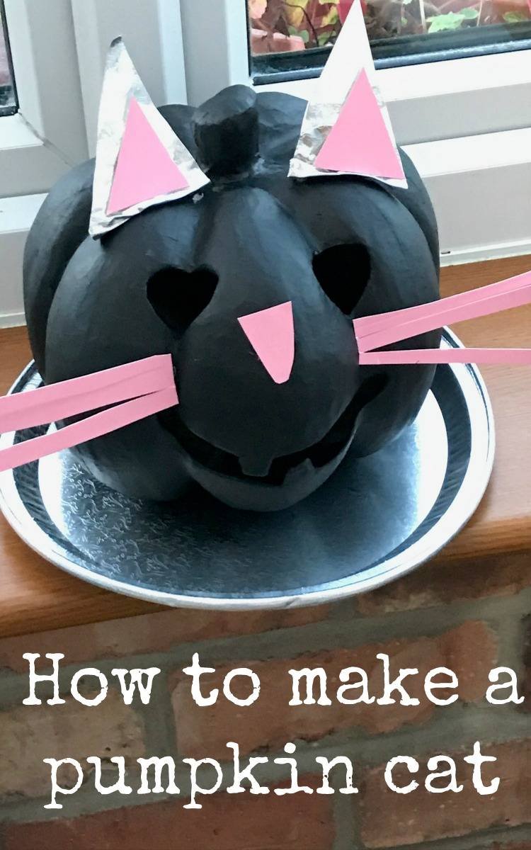 Pumpkin Cat Decor