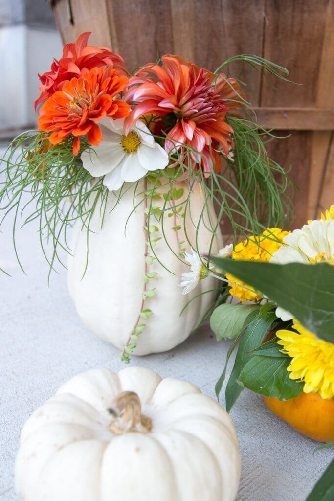 Real Pumpkin Vase