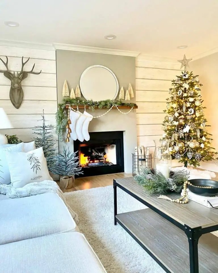 Rustic Modern Living Room