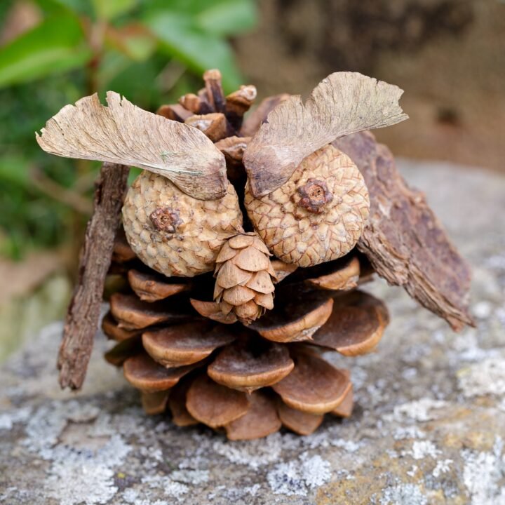 Rustic Pinecone Owl Decor