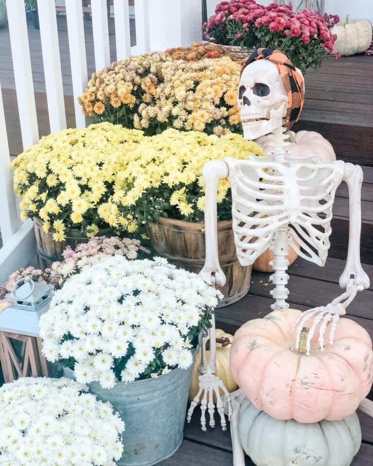 Skeleton and Fall Decor
