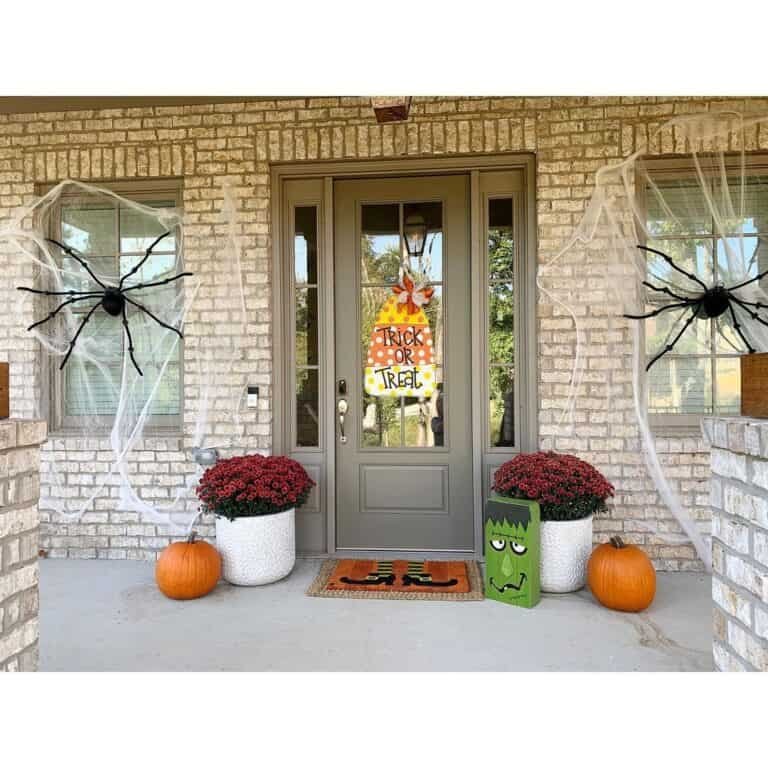 Spider and Web Decorations