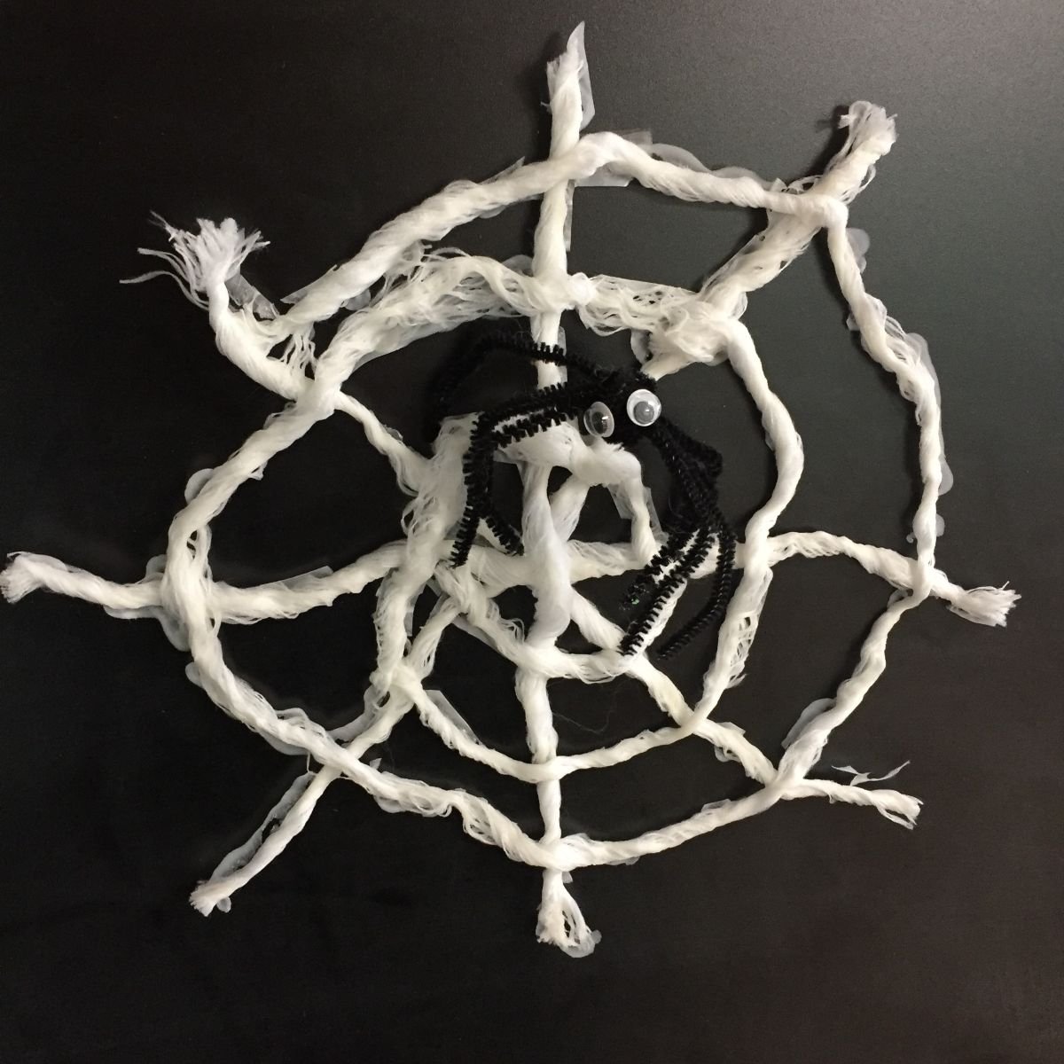 Spider Web Crafting Guide