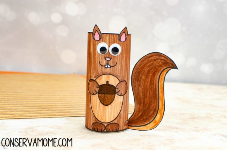 Toilet Paper Roll Squirrel