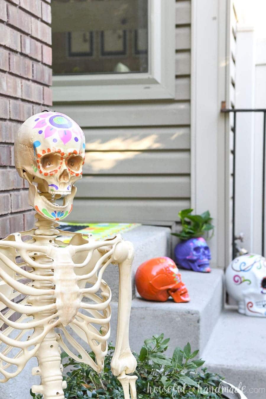 Vibrant Painted Skulls