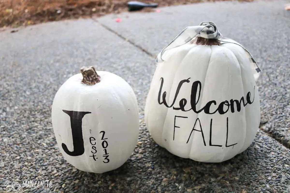 White Pumpkin Styling