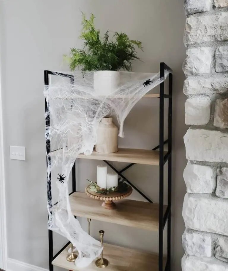 Wood Shelf with Cobwebs